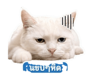 863727521