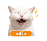 863727523