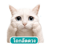 863727524