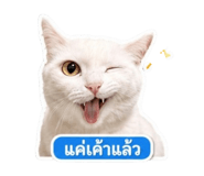 863727527