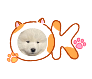 863728414