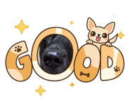 863728716