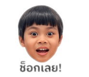 863733236