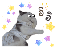 863736248