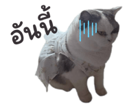 863736255