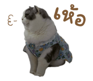 863736256