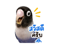 863736474