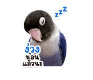 863736478