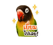 863738251
