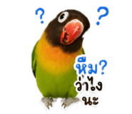 863738254