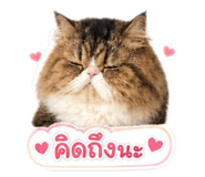 863739187