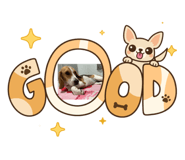 863739796