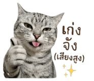 863746294