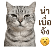 863746300