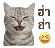 863746301