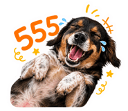863753540
