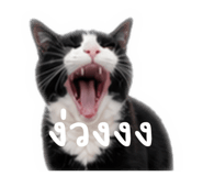 863755252