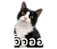863755272