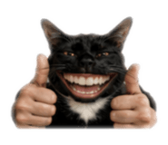 863756822