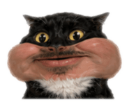 863756827