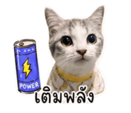 863757168
