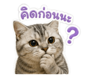 863757600