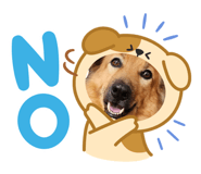 863757941