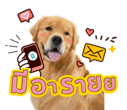 863758086