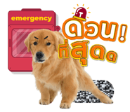 863758088