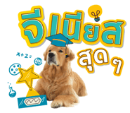 863758091