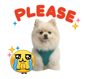 863764722