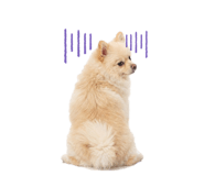863764725