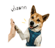 863765716