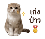 863769972