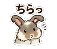 863792312