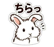 863793248