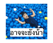 863803286