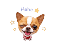 863813689