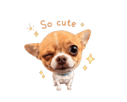 863813700