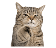863813970