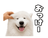 863814369
