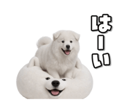 863814370