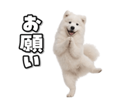 863814373