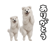 863814375
