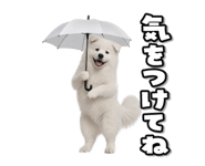 863814376