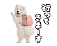863814377