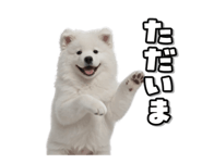 863814379