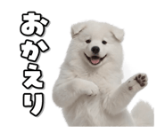 863814380