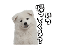 863814381