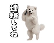 863814382